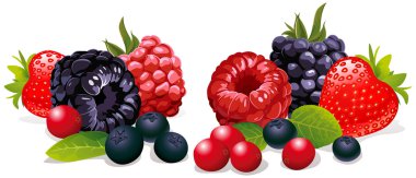 Berries isolated clipart