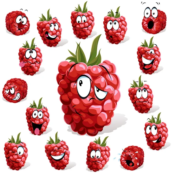 Raspberry — Stock Vector