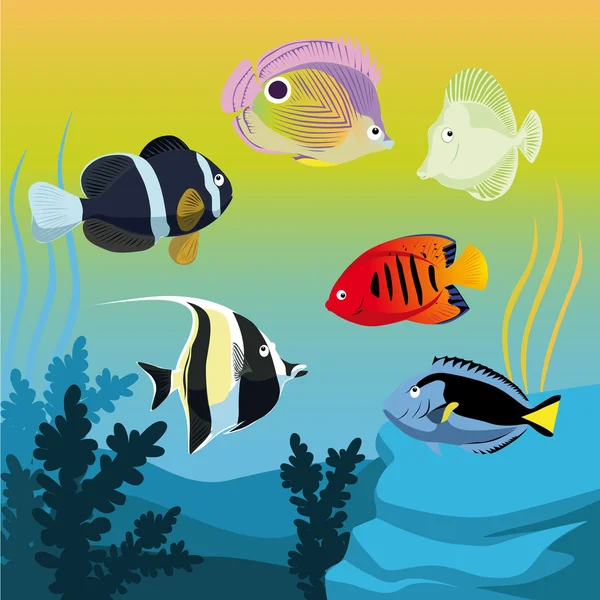 Vector colorful fishes — Stock Vector