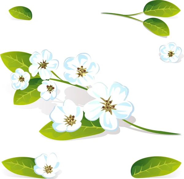 Άνοιξη λουλούδι φορέα — Διανυσματικό Αρχείο