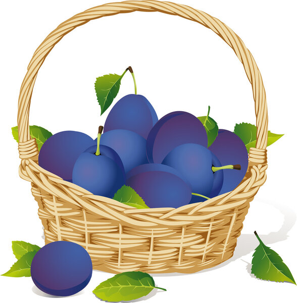 Корзина со сливами
