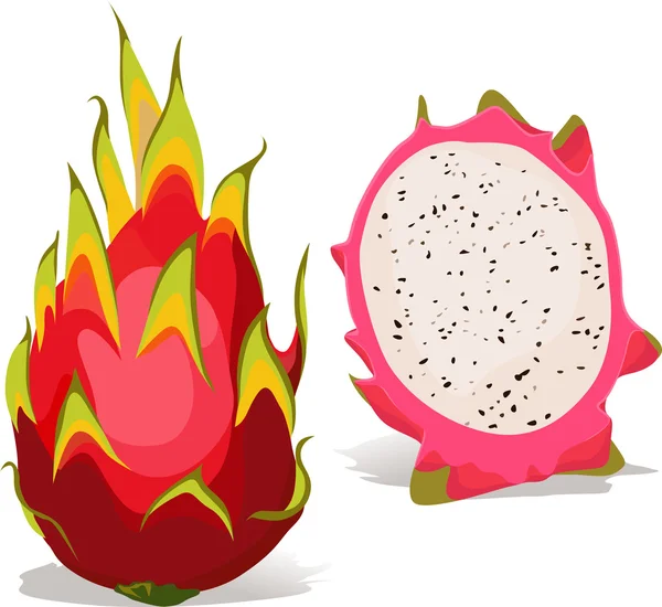 Dragon fruit - vector illustration — Stock Vector