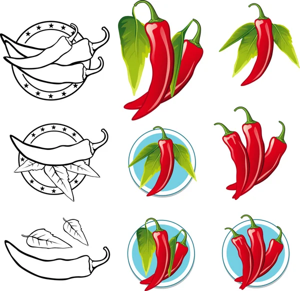 Chili paprika illusztráció - illusztráció — Stock Vector