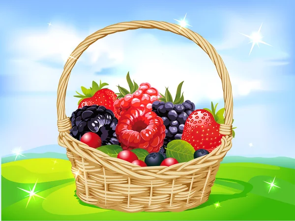 Panier plein de fruits sur prairie verte illustration vectorielle — Image vectorielle