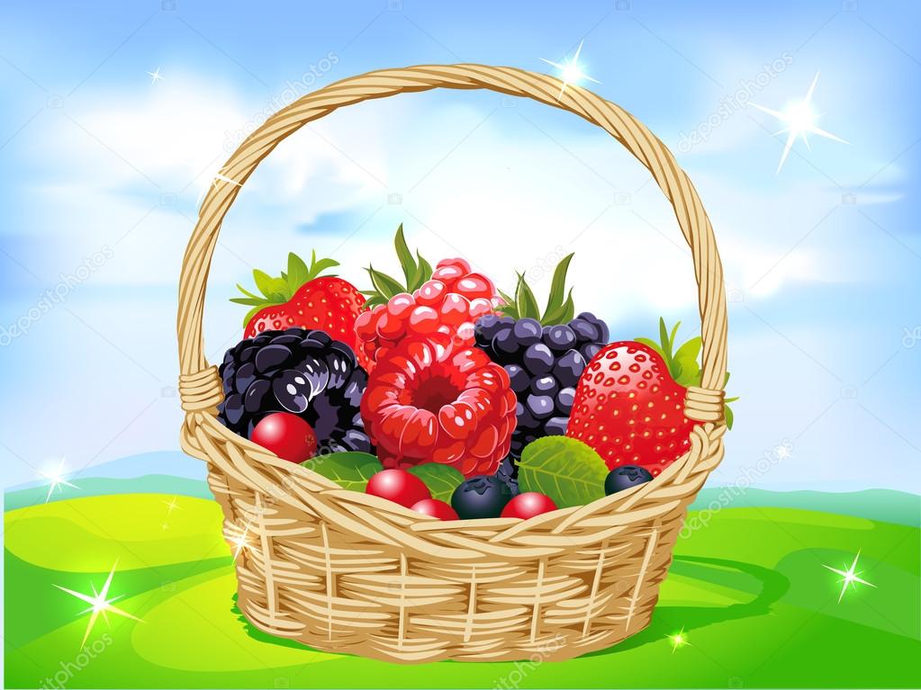 basket full of fruits on green meadow - vector illustration