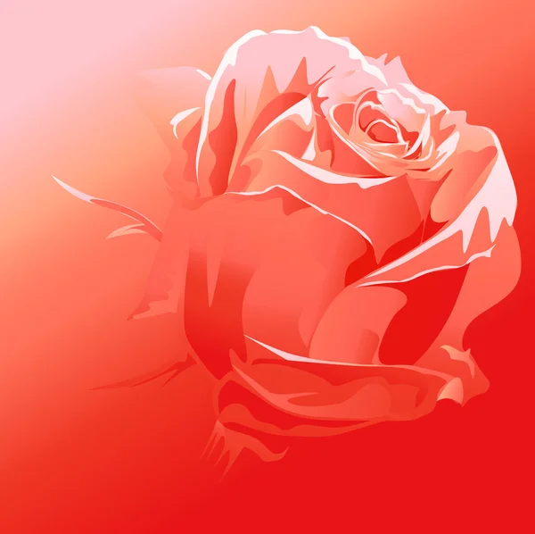 赤いバラのベクトル - 抽象的な背景 — ストックベクタ