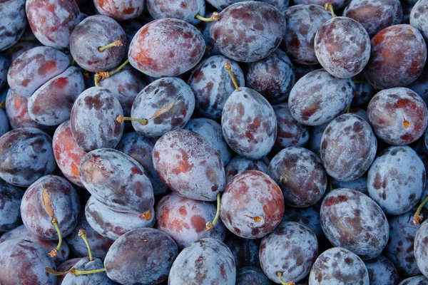 yerel pazarda lezzetli organik Erik