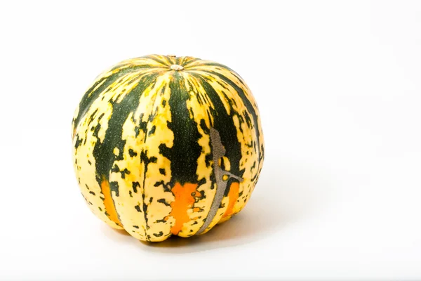 Pumkins antes de fundo branco — Fotografia de Stock