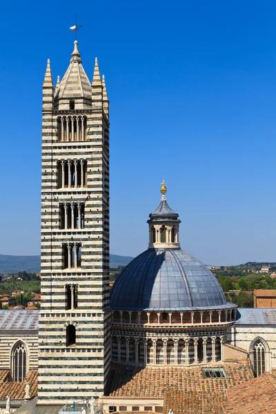 Siena kopule katedrály (duomo di siena), Itálie — Stock fotografie