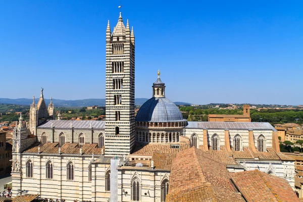Siena kopule katedrály (duomo di siena), Itálie — Stock fotografie