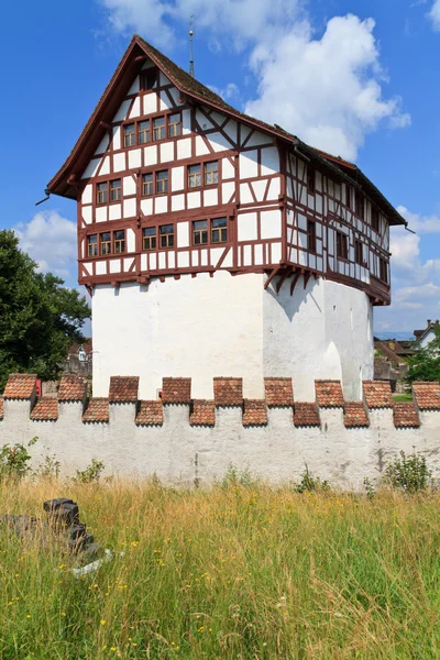 Zug Kalesi, İsviçre — Stok fotoğraf