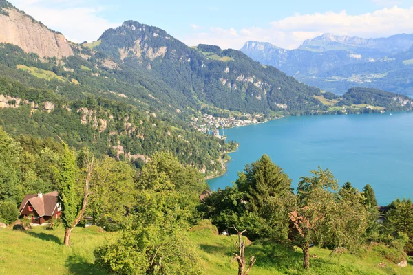 Schweiziskt alplandskap (Vierwaldstaettersee) — Stockfoto