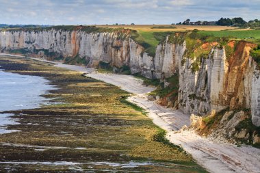 Cliffs etretat ve fecamp, normandy, Fransa