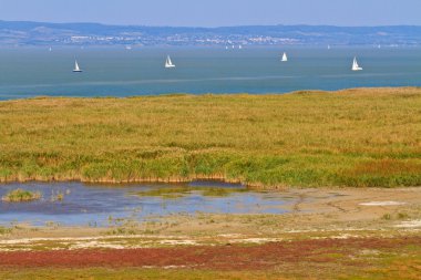 Reed kemer Yatay Milli Parkı