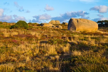Beautiful landscape with granite boulders, Brittany, France clipart
