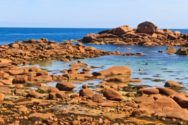 Cote de granit gül, brittany sahil yakınında ploumanach, Fransa