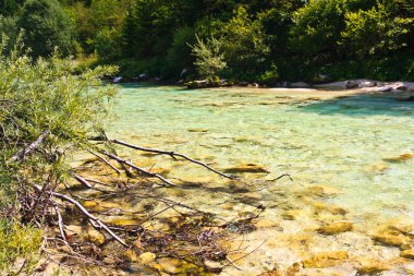 Alp nehir soca, Isonzo, Slovenya