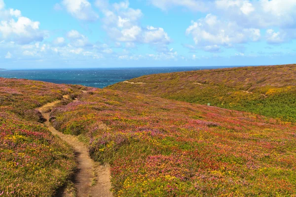 French atlantic coast near Cap Frehel — Stock Photo, Image