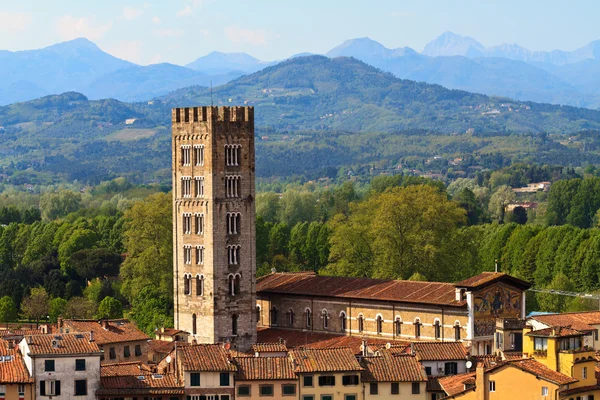 Lucca, Toskana - eski şehir üzerinden görünüm — Stok fotoğraf