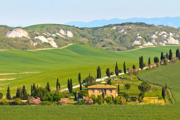Typische Toscane landschapsmening — Stockfoto