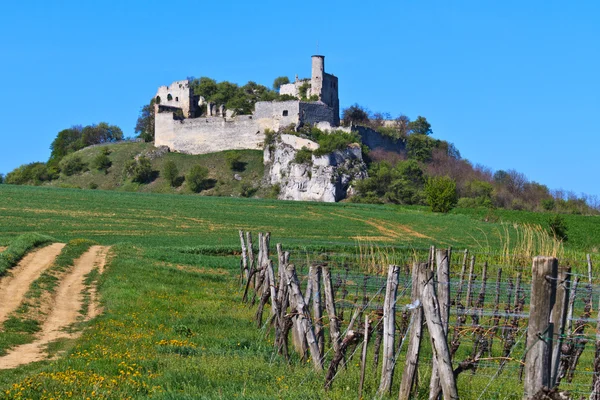 Ruines du château de Falkenstein, Basse-Autriche — Photo