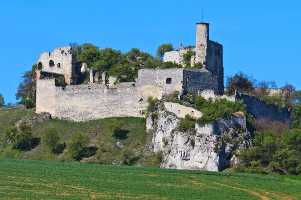 Ruines du château de Falkenstein, Basse-Autriche — Photo