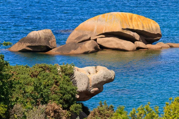 Cote de rose γρανίτη, Βρετάνη ακτή κοντά ploumanach, Γαλλία — 图库照片