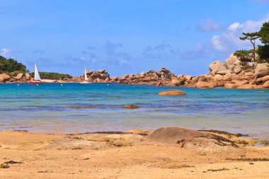 Cote de granit gül, brittany sahil yakınında ploumanach, Fransa