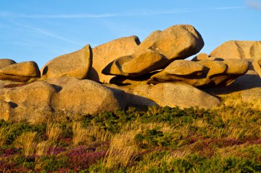 Beautiful landscape with granite boulders, Brittany, France clipart