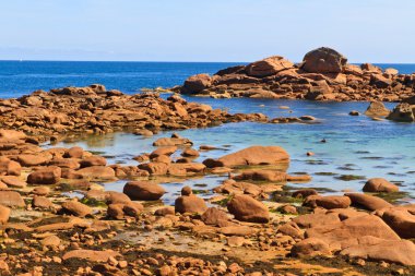 Cote de granit gül, brittany sahil yakınında ploumanach, Fransa