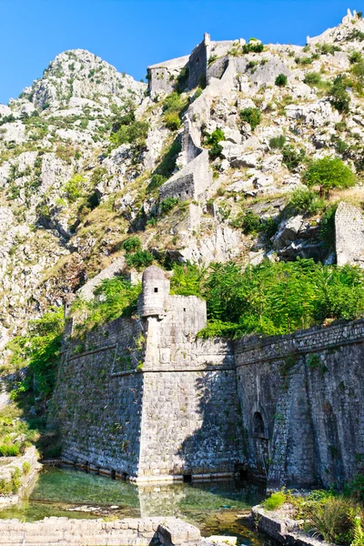 Kotor miasto ściany fortyfikacji, Czarnogóra — Zdjęcie stockowe