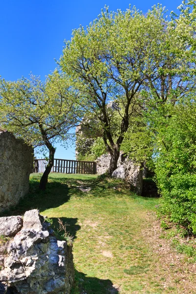 Zříceniny hradu Falkenstein, Dolní Rakousko — Stock fotografie