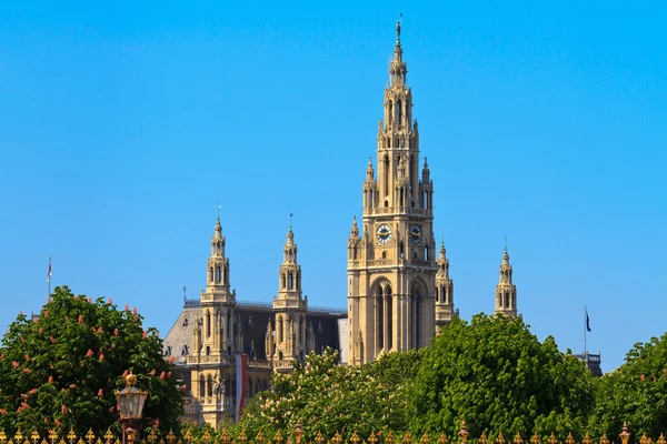 A bécsi városháza (Rathaus) — Stock Fotó