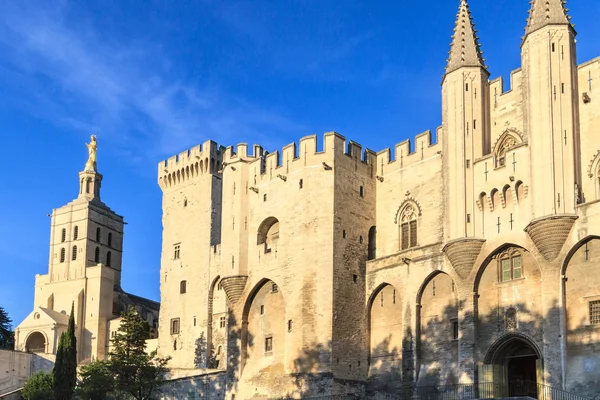 Avignon em Provence - Vista para o Palácio dos Papas — Fotografia de Stock