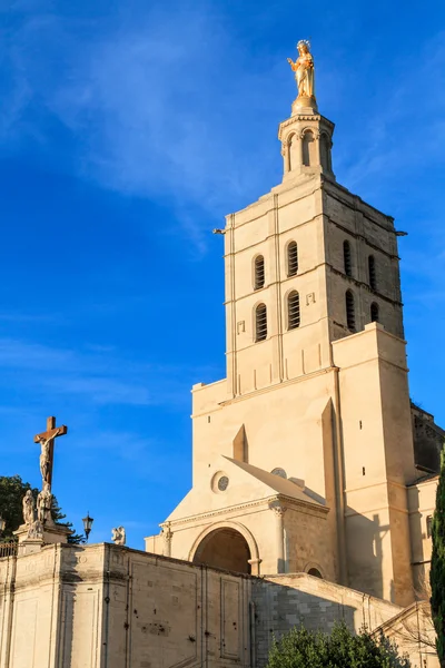 Avignon - notre dames des kupoler kyrkan nära påvliga palatset, visat — Stockfoto