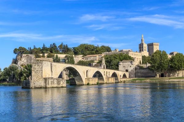 Avignon bridge med popes palace, pont saint-beenezet, provence, — Stockfoto