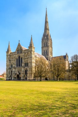 Salisbury katedral ön görünüm ve park güneşli Güney engl
