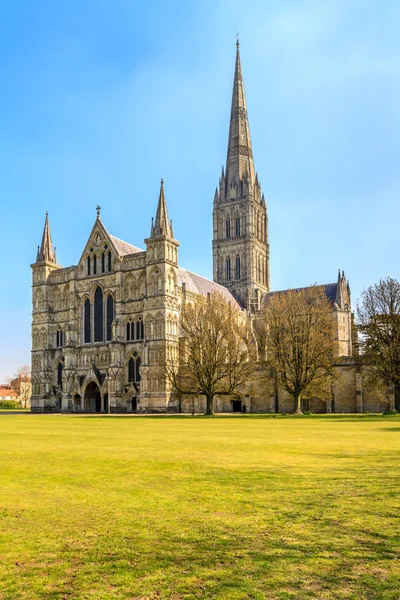 Πρόσοψη Salisbury καθεδρικό ναό και το πάρκο ηλιόλουστη ημέρα, Νότια engl — Φωτογραφία Αρχείου