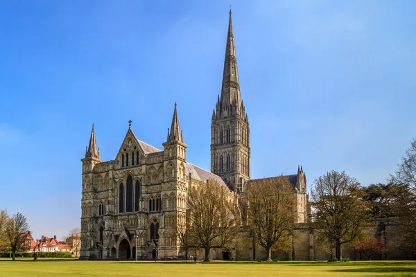 Catedral de Salisbury Vista frontal e parque no dia ensolarado, South Engl Fotos De Bancos De Imagens Sem Royalties