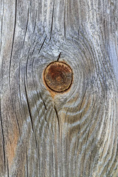 Wooden plank with trunk knot from old branch — Stock Photo, Image