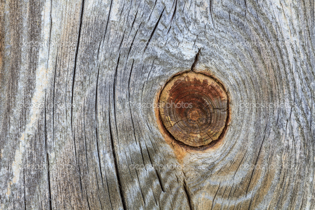 tabla de madera con nudo del tronco del viejo rama — Foto de stock
