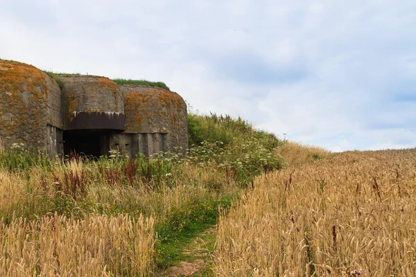 Alter deutscher bunker in der normandie, frankreich — Stockfoto