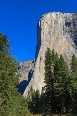 el capitan, yosemite Milli Parkı, Kaliforniya
