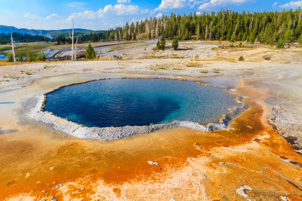 Crested Pool Geyser, Yellowstone National Park (Upper Geyser Bas — Stock Photo, Image