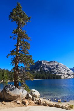 Yosemite national park, lake tenaya (tioga geçişi), görünüm Halife