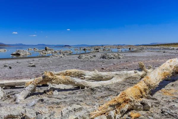 Mono Lake Shore y formaciones Tufa, California — Foto de Stock