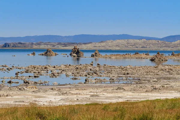 Mono lake shore i martwica formacji, california — Zdjęcie stockowe