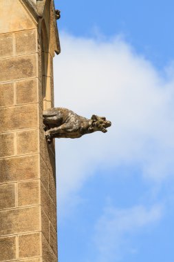 Gargoyle (Gotik kilise mimari detay)