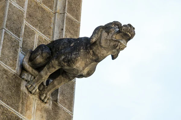 Gargulec (gotycki kościół detalu architektonicznego) — Zdjęcie stockowe