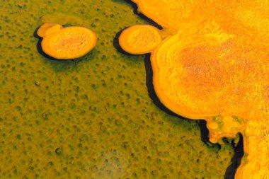 Jeotermal havuzları, yellowstone Milli Parkı, w mikrobiyal paspaslar